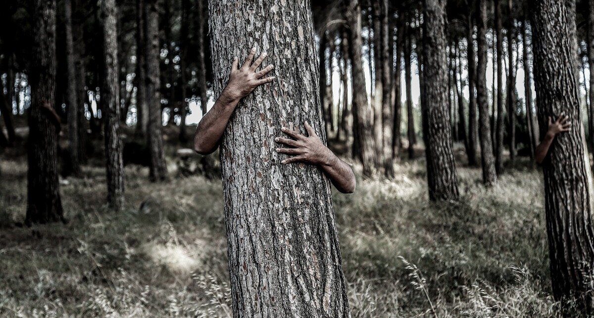 Person hiding behind a tree with only their arms and hands visible