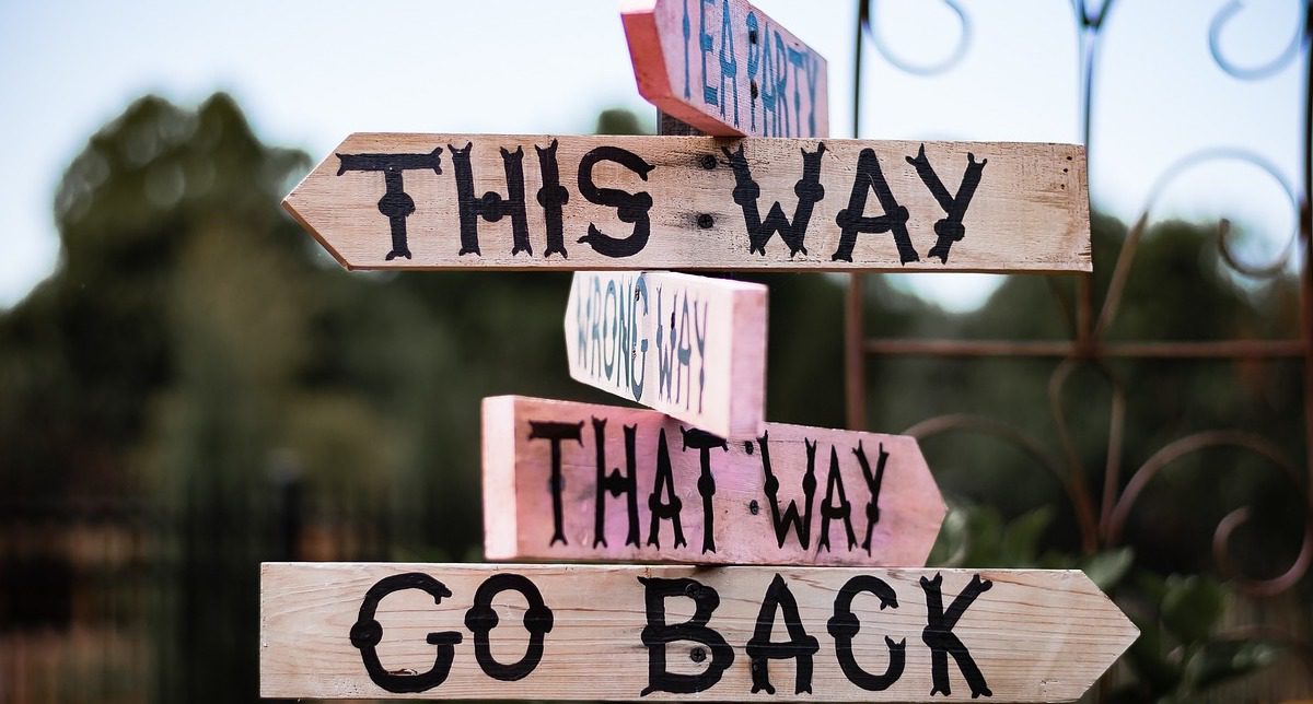 Group of wooden signs pointing in different directions with the words “This Way,” “That Way,” and “Go Back”